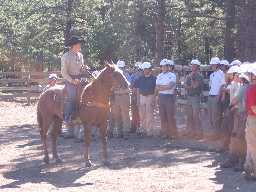 Horse Rides at Clark's Fork